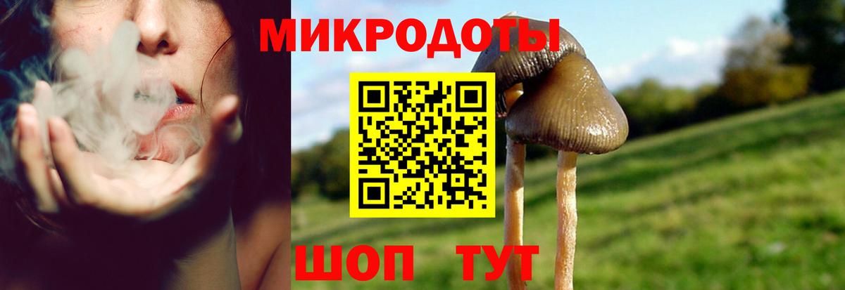 Буйнакск  Галлюциногенные грибы Cubensis  Галлюциногенные грибы MAGIC MUSHROOMS  Вход с VPN 